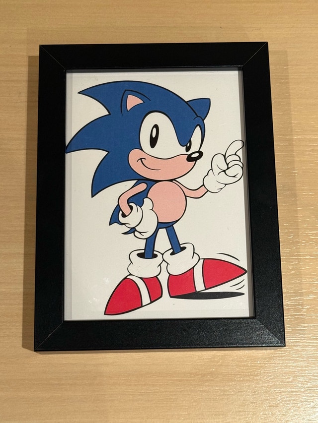 Sonic the Hedgehog Framed Art - photo 2