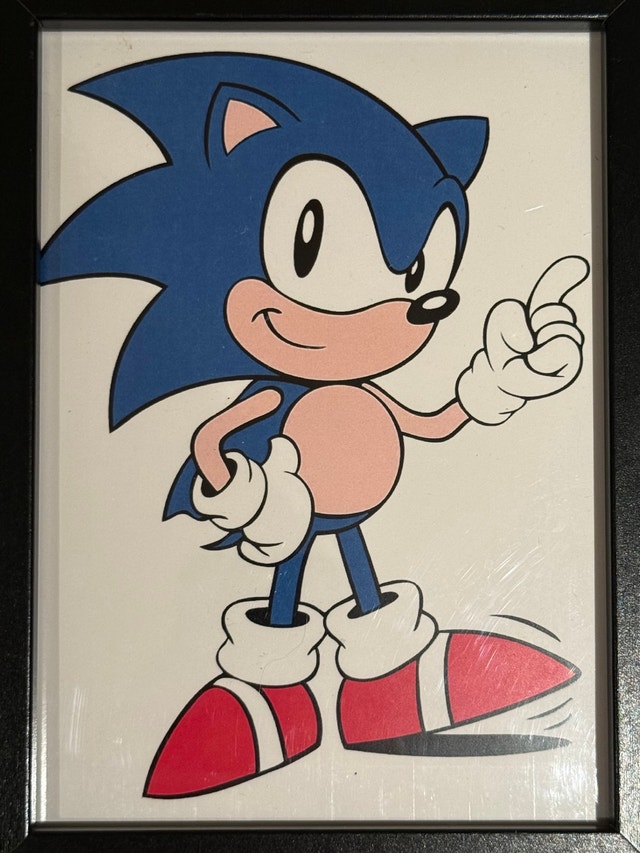 Sonic the Hedgehog Framed Art - photo 5