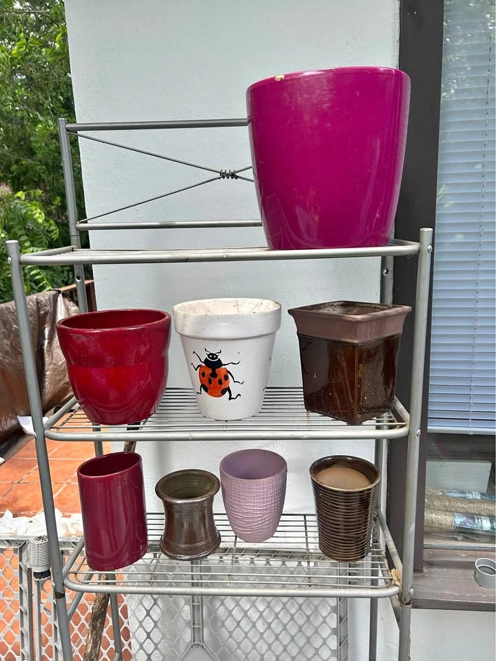 Variety of flower, plant, herbs, pots