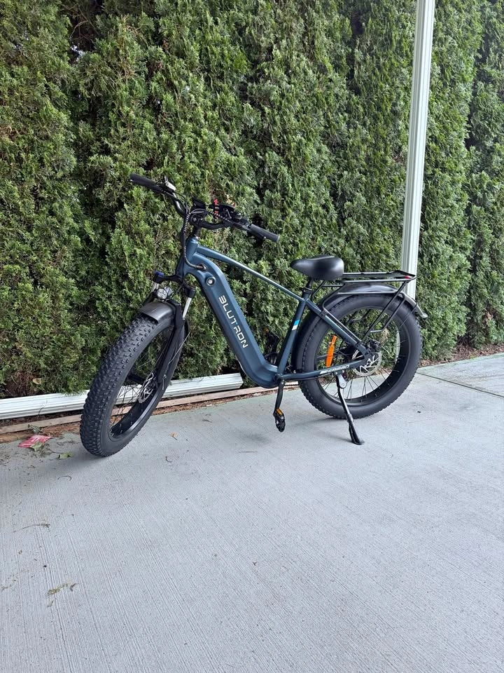 Blurtron E Bike 🚲