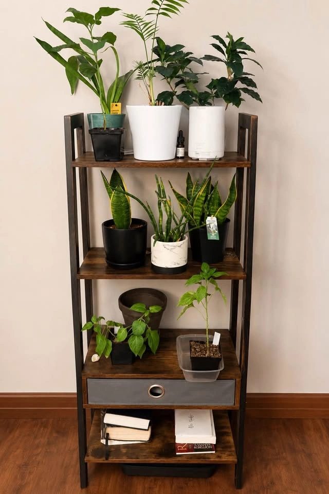 Rustic Ladder Shelf / Plant Stand with Drawer - photo 2