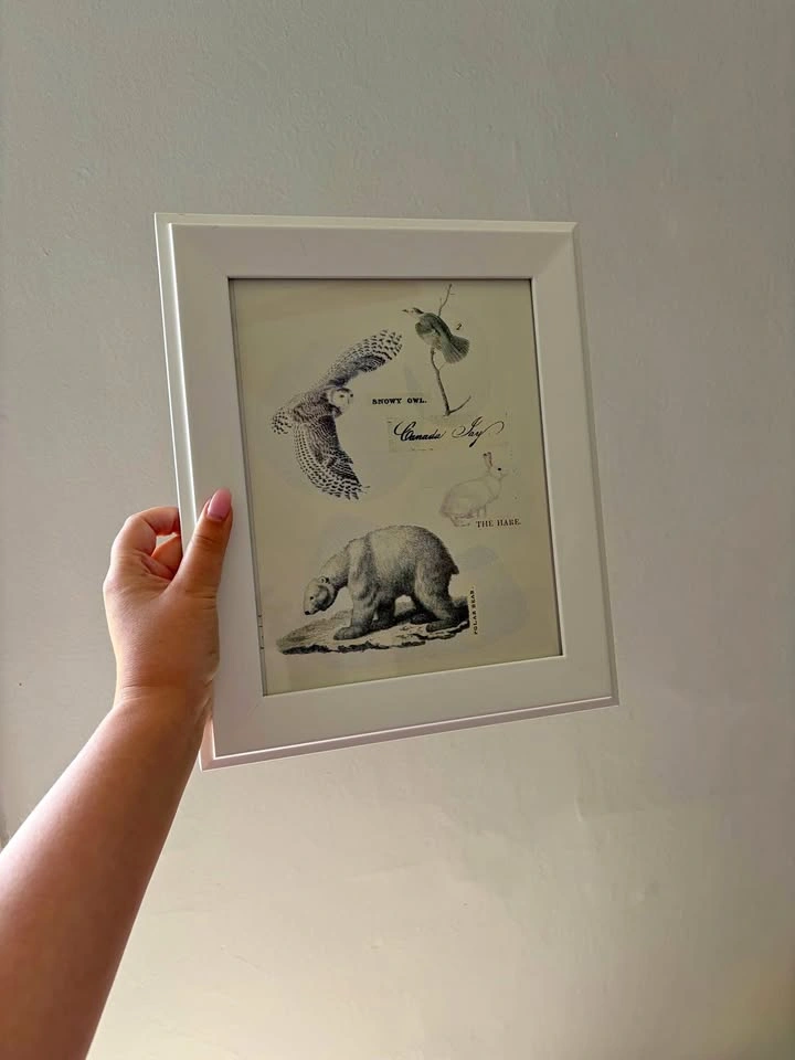 Print and frame