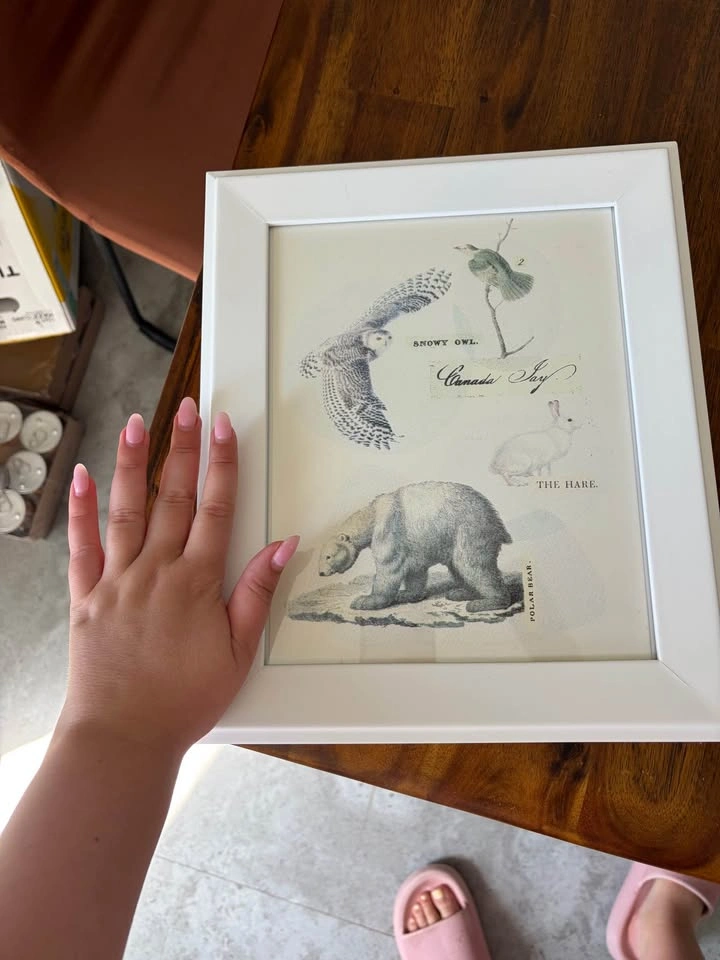 Print and frame - photo 3