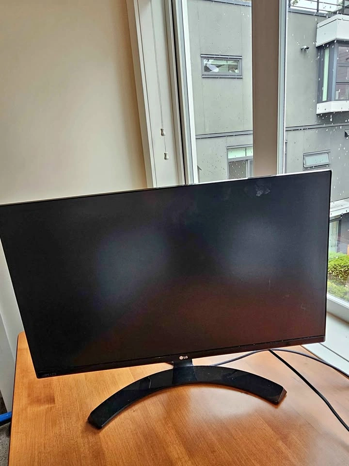 LG Monitors 21" (x2)
