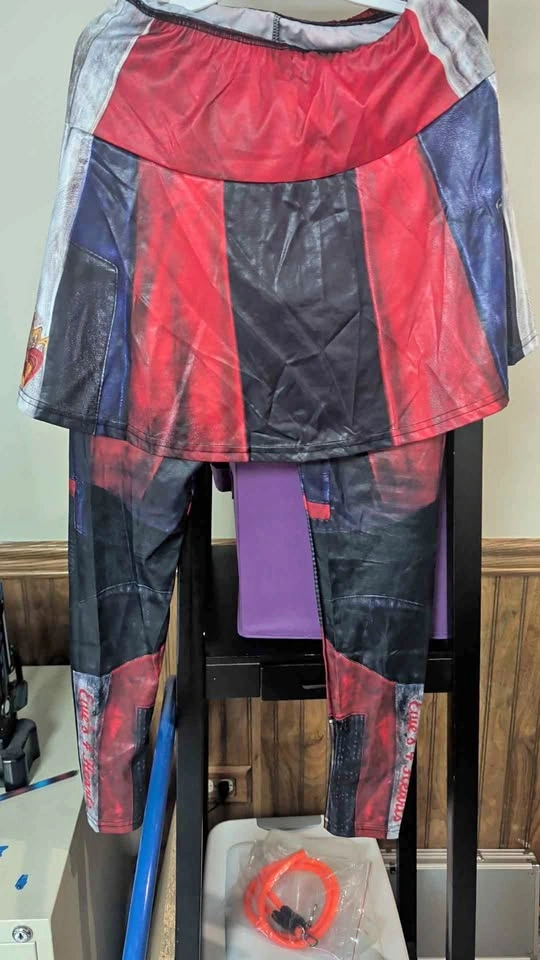 Descendants 3 Evie costume