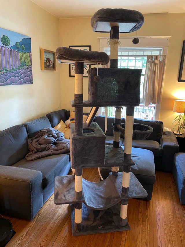 FREE Large Cat Tree / Cat Condo 7x2.5 feet approx - photo 2