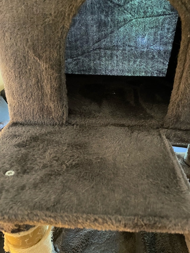 FREE Large Cat Tree / Cat Condo 7x2.5 feet approx - photo 3