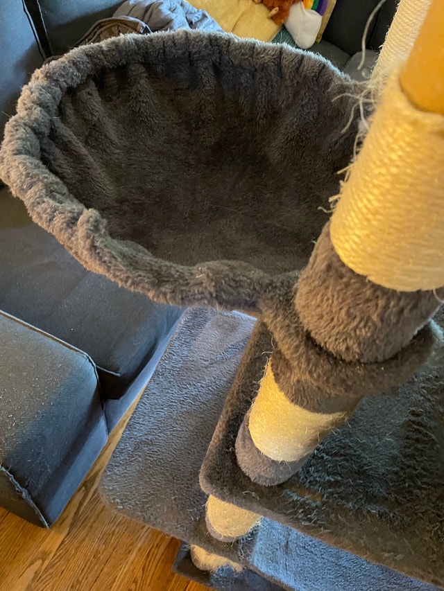 FREE Large Cat Tree / Cat Condo 7x2.5 feet approx - photo 4