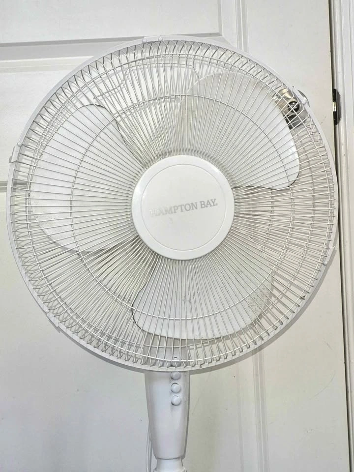 Hampton Bay White Pedestal Fan