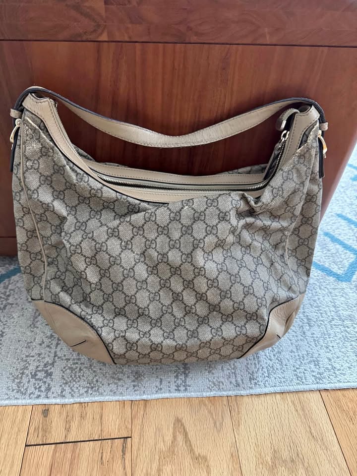 Gucci bag Authentic