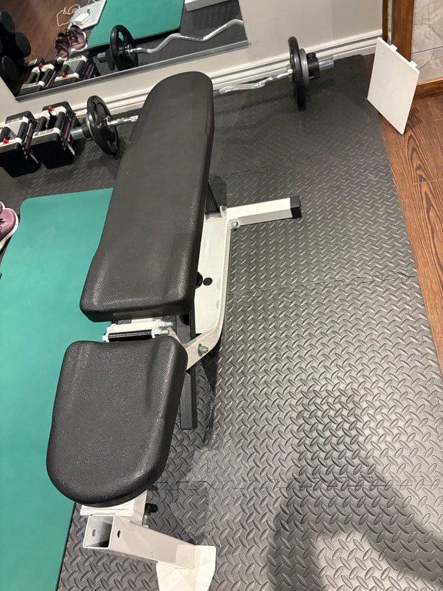 Workout Bench – Adjustable Incline/Flat Bench