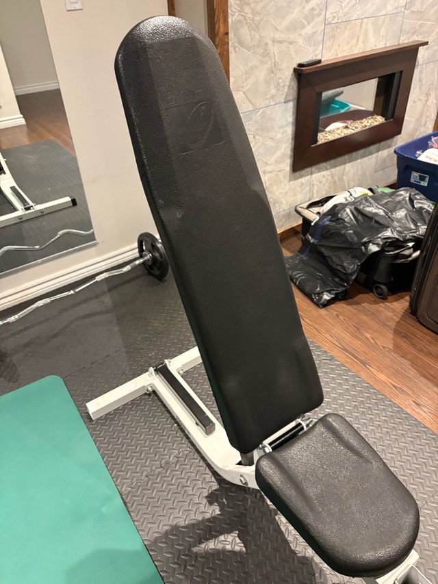 Workout Bench – Adjustable Incline/Flat Bench - photo 2