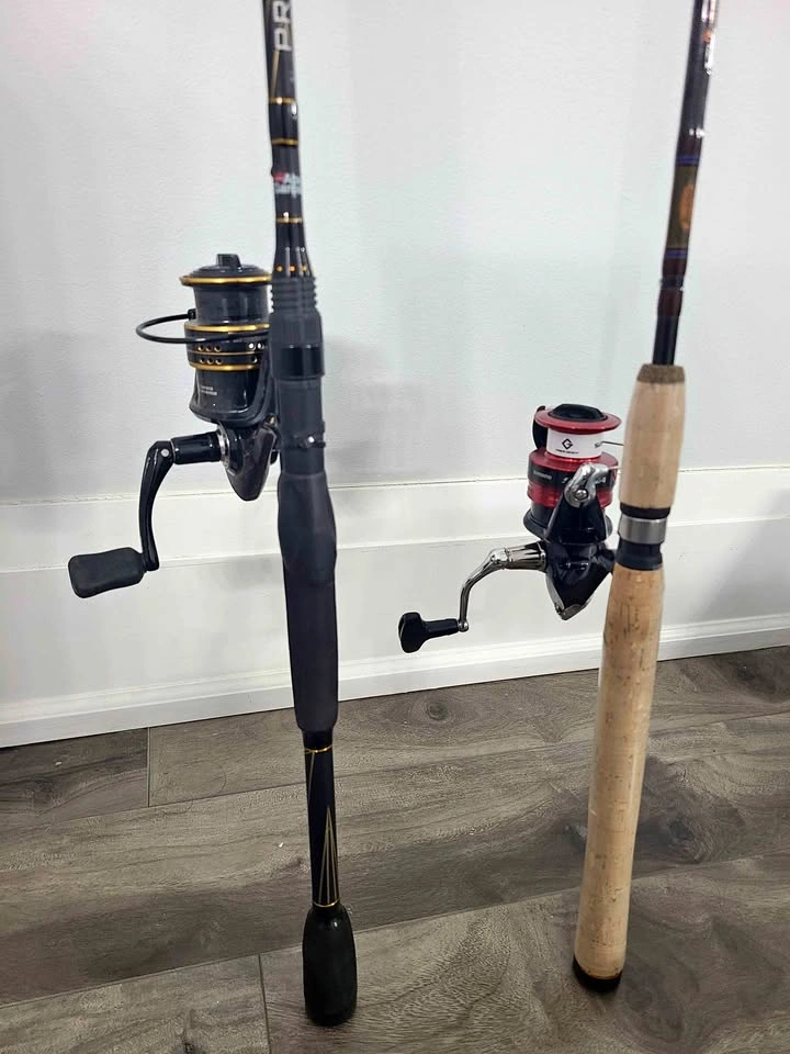 🇨🇦  🎣 2 fishing rods with reel 40$ each