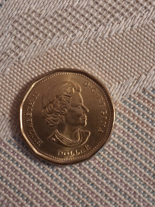 2020 Canada $1 UN Charter 75th Anniversary Coloured Loonie - photo 2