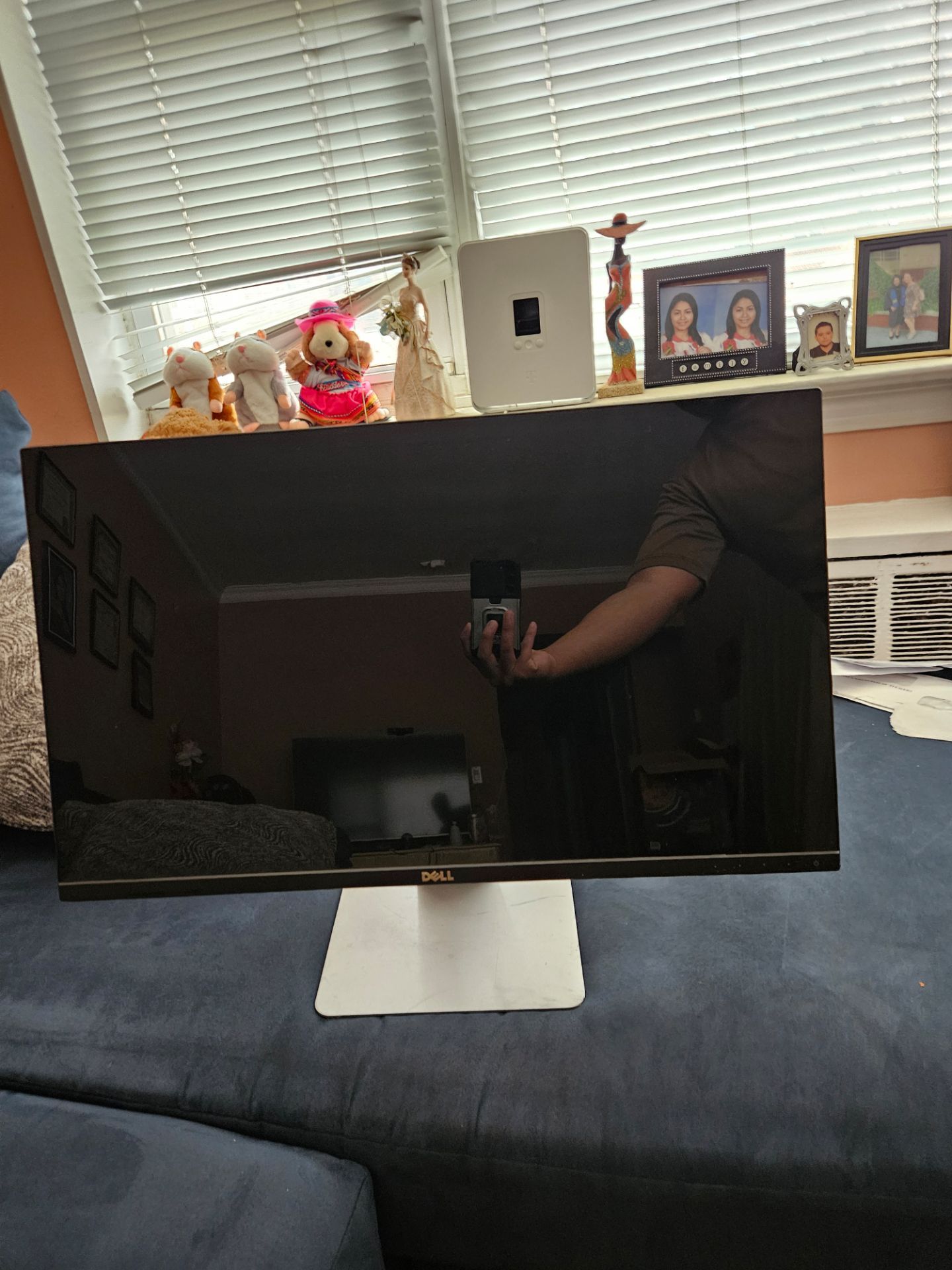 Dell Monitor