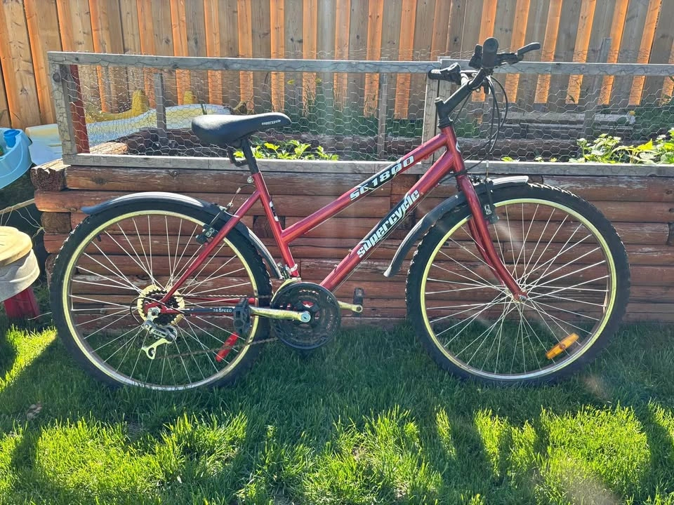 18 speed Adult women’s bike