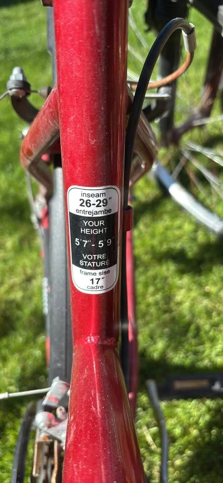18 speed Adult women’s bike - photo 2