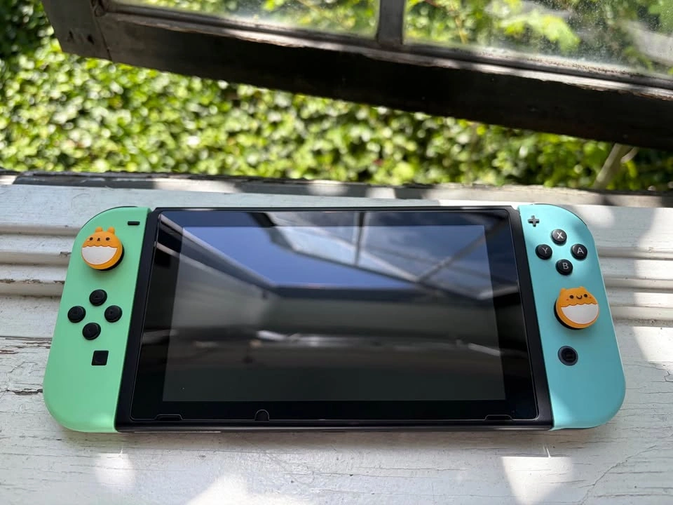 Animal Crossing Nintendo Switch Bundle - photo 3