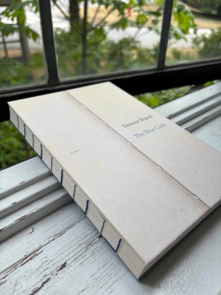 Dionne Brand The Blue Clerk - photo 2
