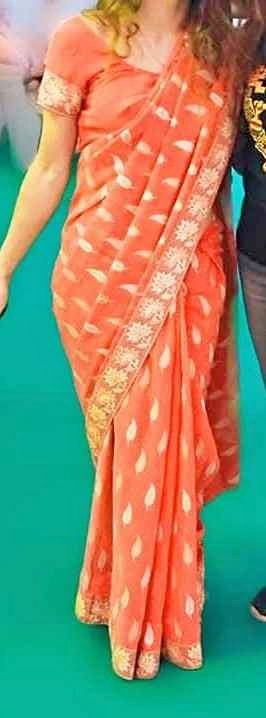 Embroidered Saree