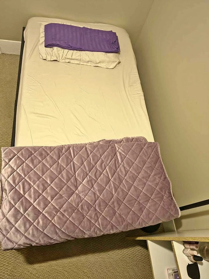 Twin Metal Platform Bed Frame