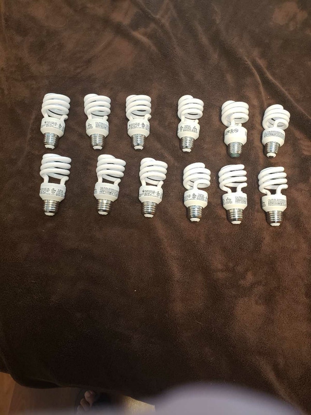 compact fluorescent 13W CFL bulbs 12 count