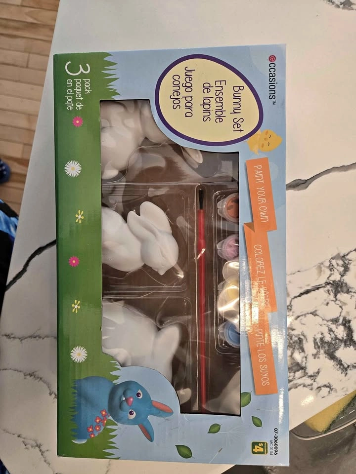 Paint Your Own Bunny Set