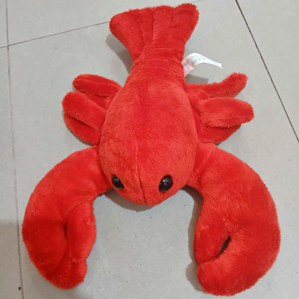 ⚽ Rocky Lobster Plush Toy