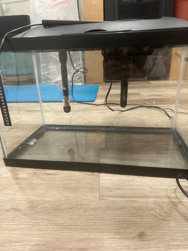10 Gallon Fish tank starter kit