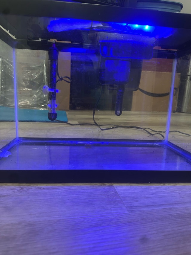 10 Gallon Fish tank starter kit - photo 2