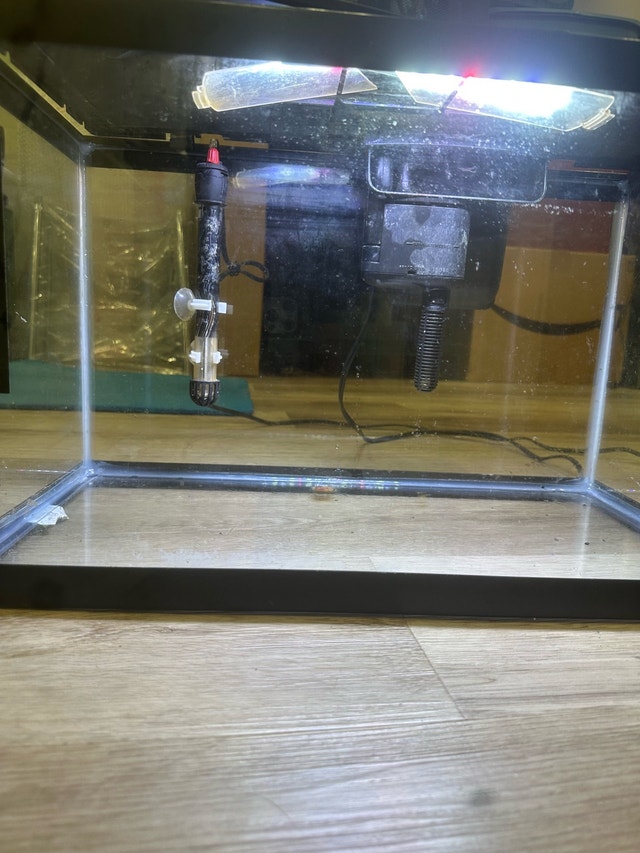 10 Gallon Fish tank starter kit - photo 3