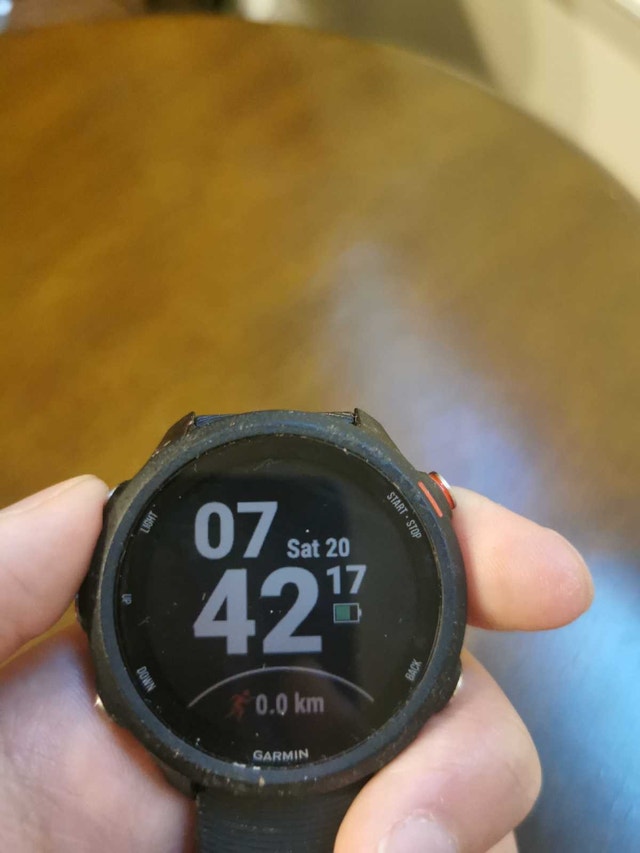 Garmin Forerunner 245 Music - photo 3