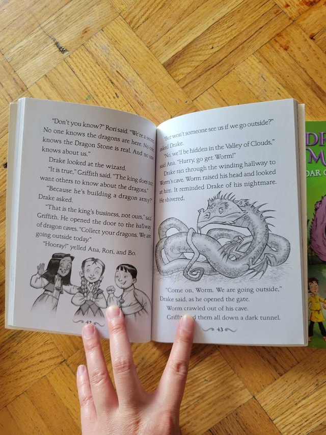 Scholastic Dragon Masters Books - photo 2