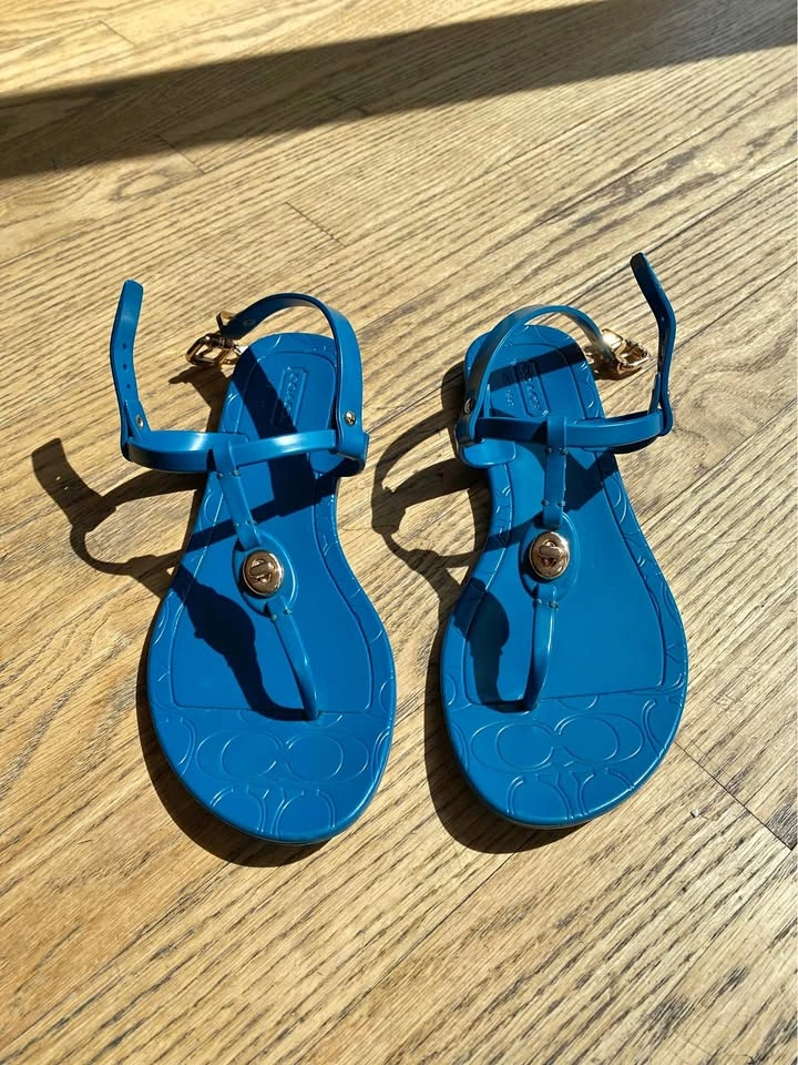 Coach Blue Plastic Sandals (5)