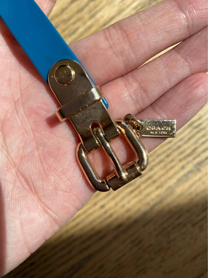 Coach Blue Plastic Sandals (5) - photo 4