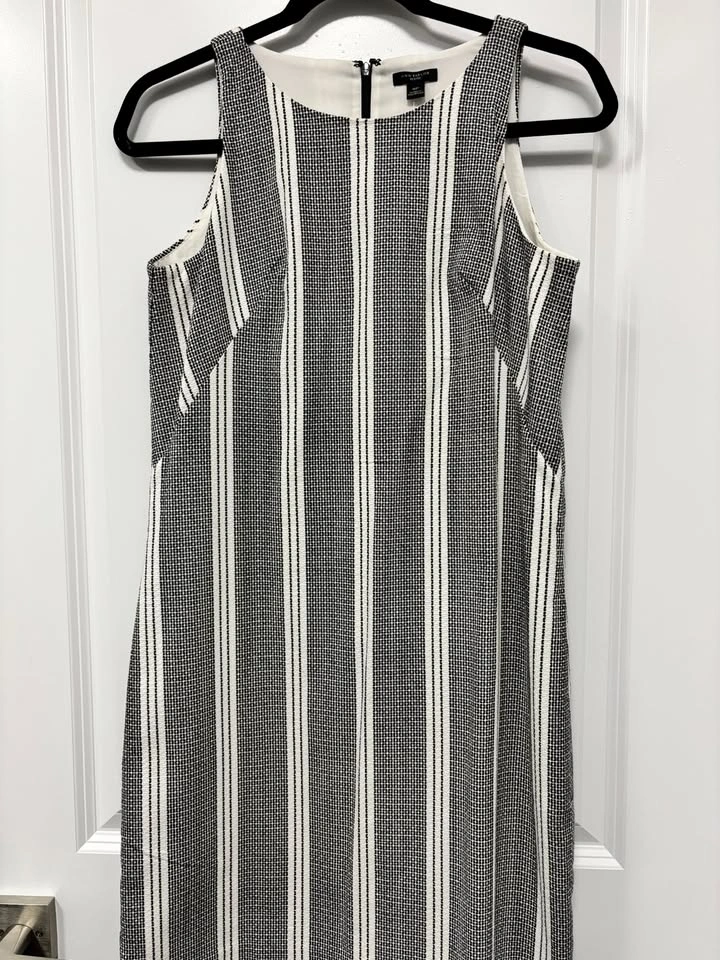 Ann Taylor Striped Shift Dress 6P BNWT Black White ⚽️ - photo 4