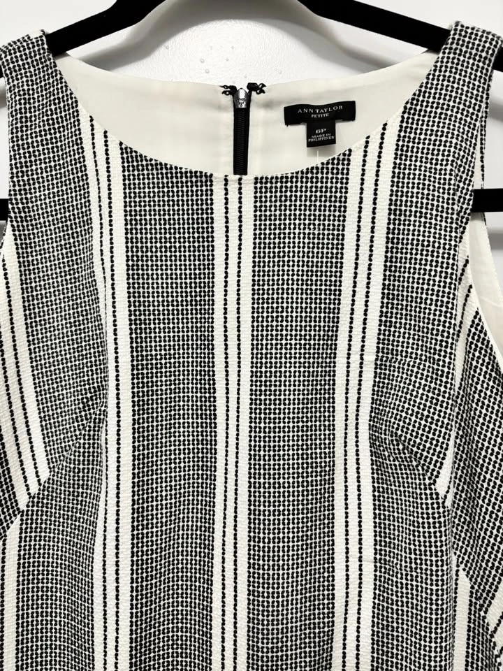Ann Taylor Striped Shift Dress 6P BNWT Black White ⚽️ - photo 5