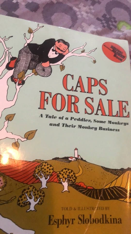 ⚽️ 2 Picture Books 1 Vintage both Free - photo 2