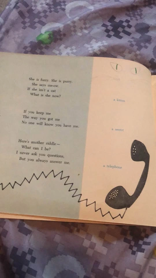 ⚽️ 2 Picture Books 1 Vintage both Free - photo 3