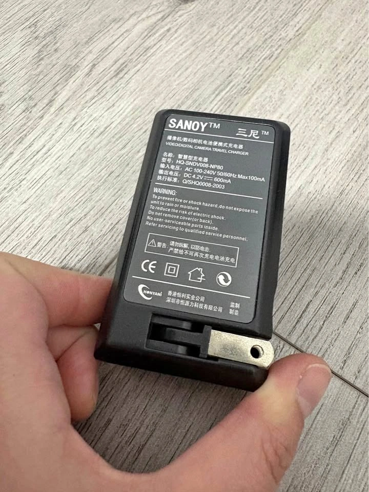 Video/ digital camera travel charger