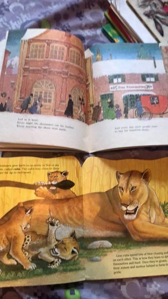 ⚽️ 2 Vintage Picture Books Elves and the Shoe Maker 1975
