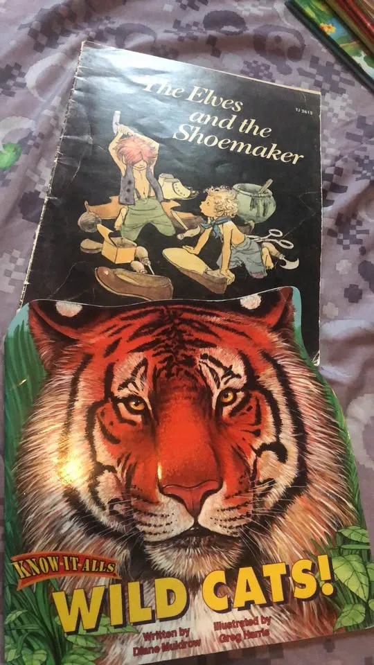 ⚽️ 2 Vintage Picture Books Elves and the Shoe Maker 1975 - photo 2