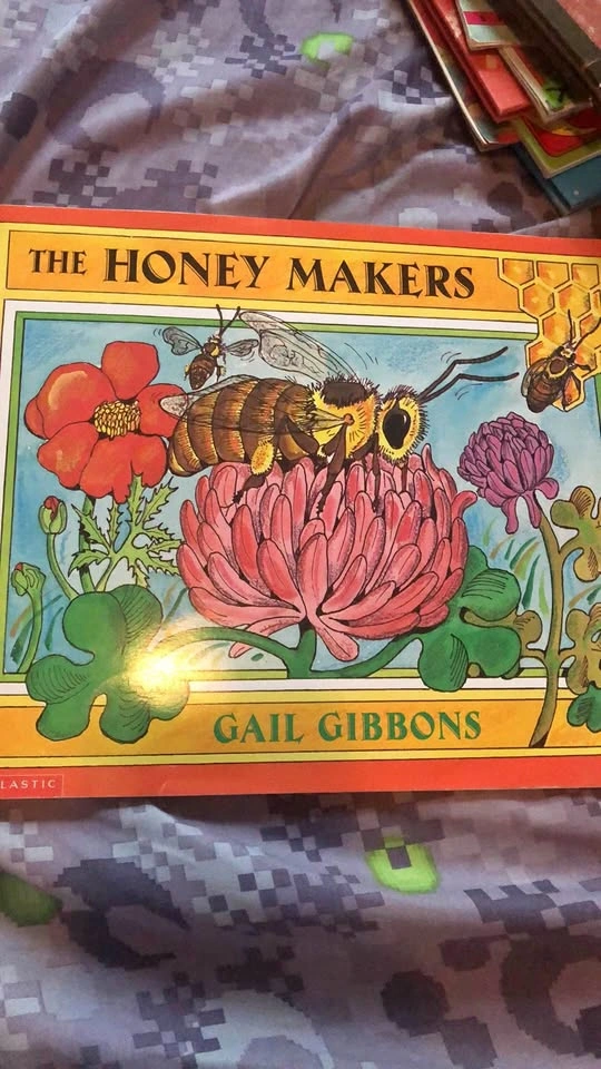⚽️ The Honey Makers Info Graphic Picture Book