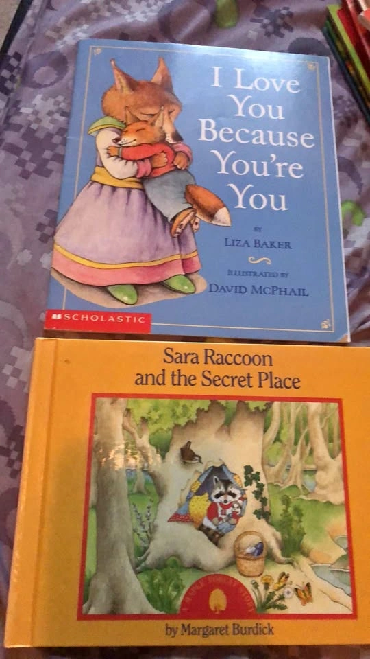 ⚽️ 2 Kids picture books, Sarah Racoon & the Secret place