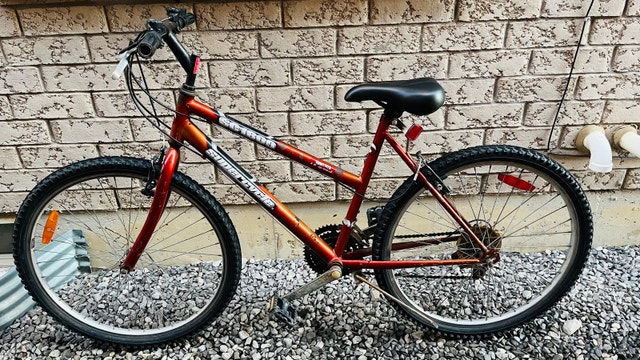 Smartway Mountain Bike