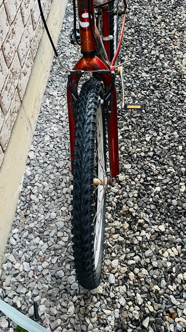 Smartway Mountain Bike - photo 3