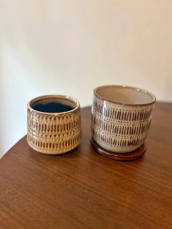 Set of 2 Ceramic Planters