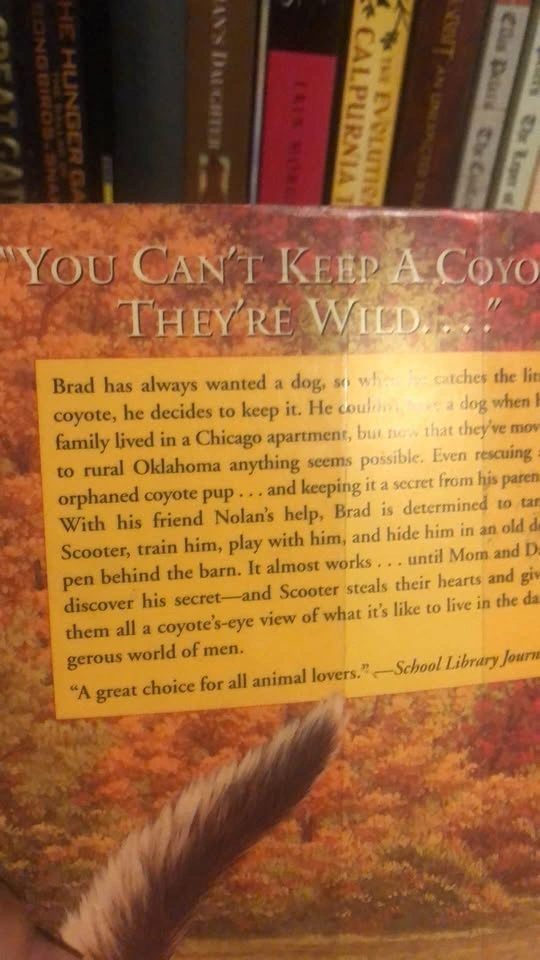 ⚽️ Coyote Autumn Chapter book grade 4-6 - photo 2