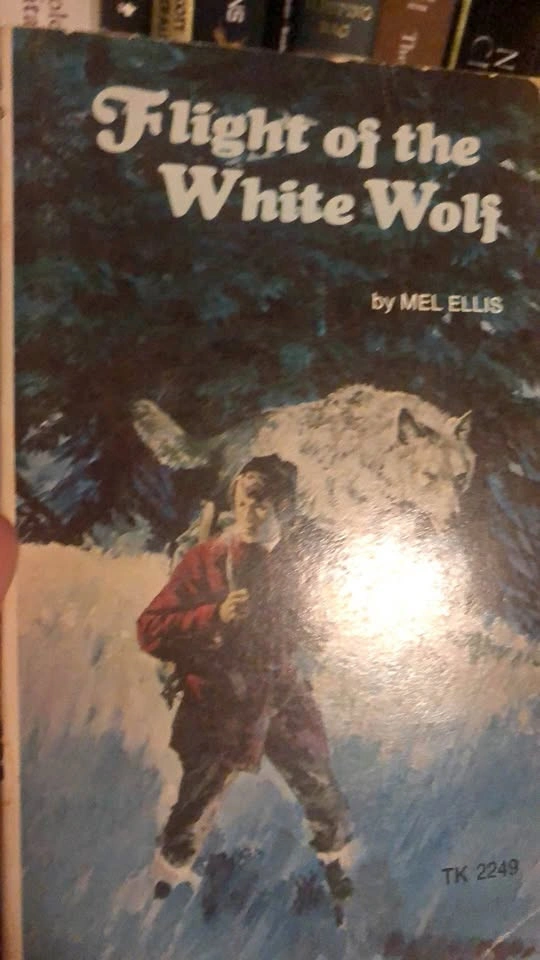 ⚽️ Flight of the White Wolf by Ellis