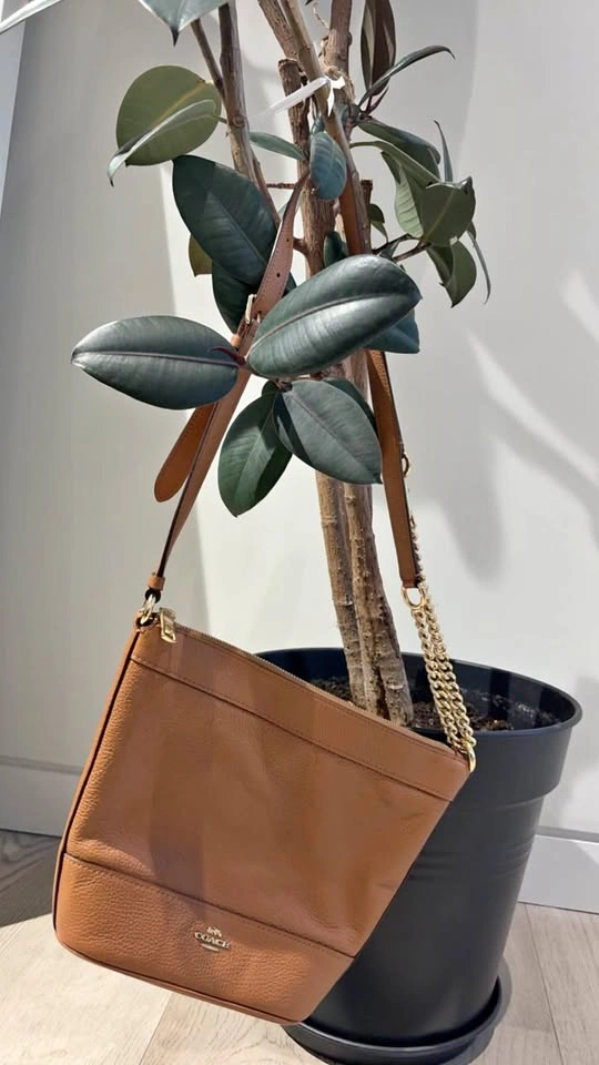 Coach Tan Leather Crossbody Bag